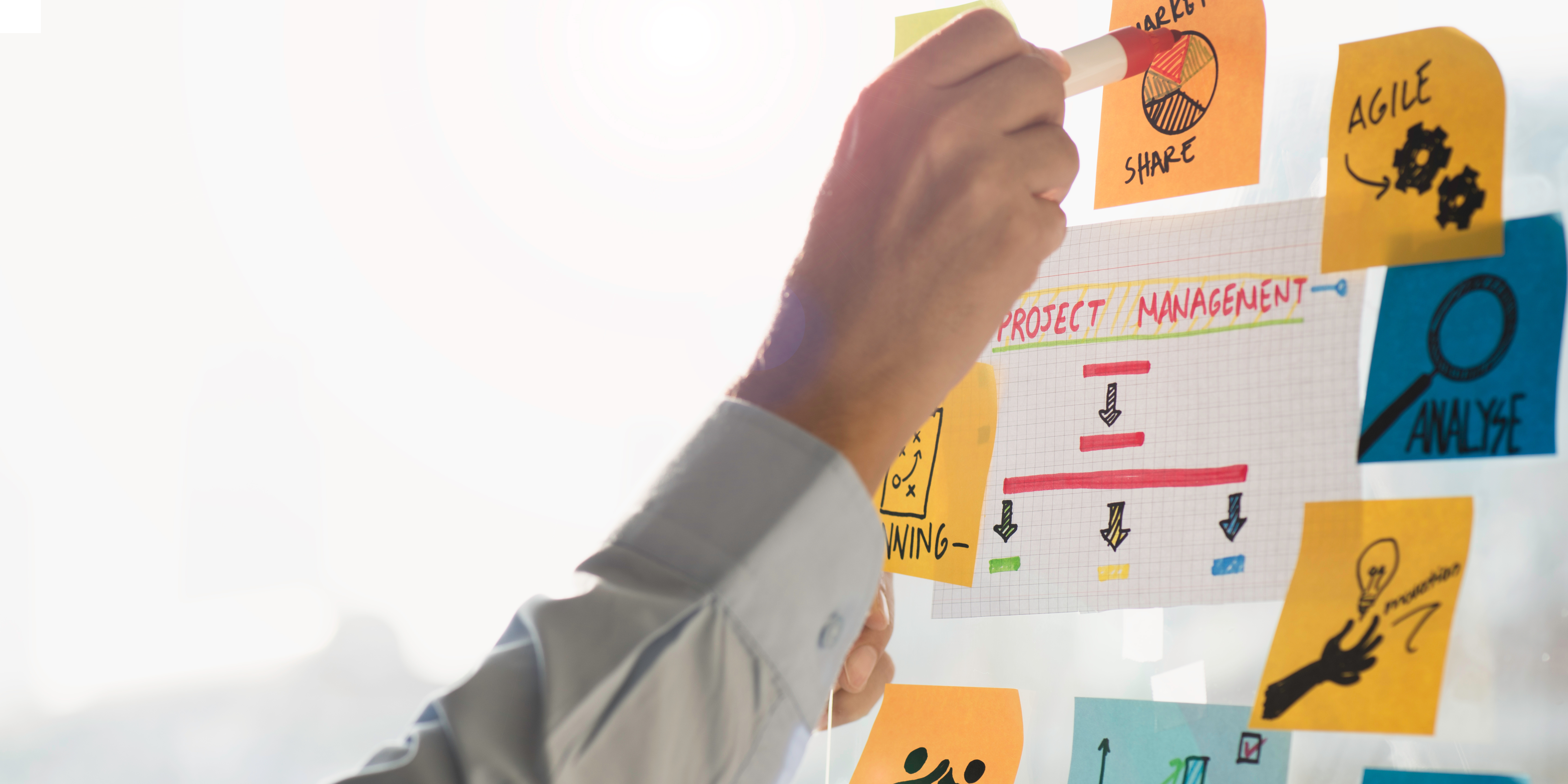 Agile vs. Waterfall: Finding the Right Path to Project Success